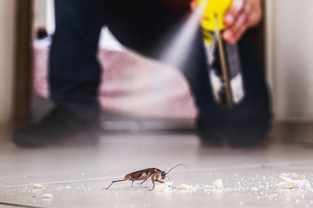 Professional Pest Control in Ray City, GA